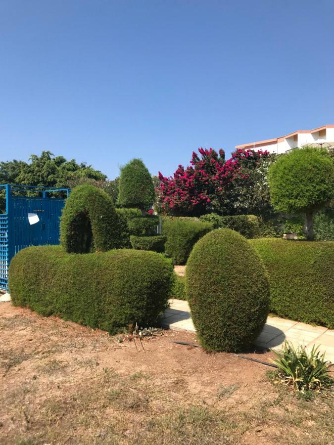 2 Bedroom Apartment-Mediterranean Type Paphos Esterno foto